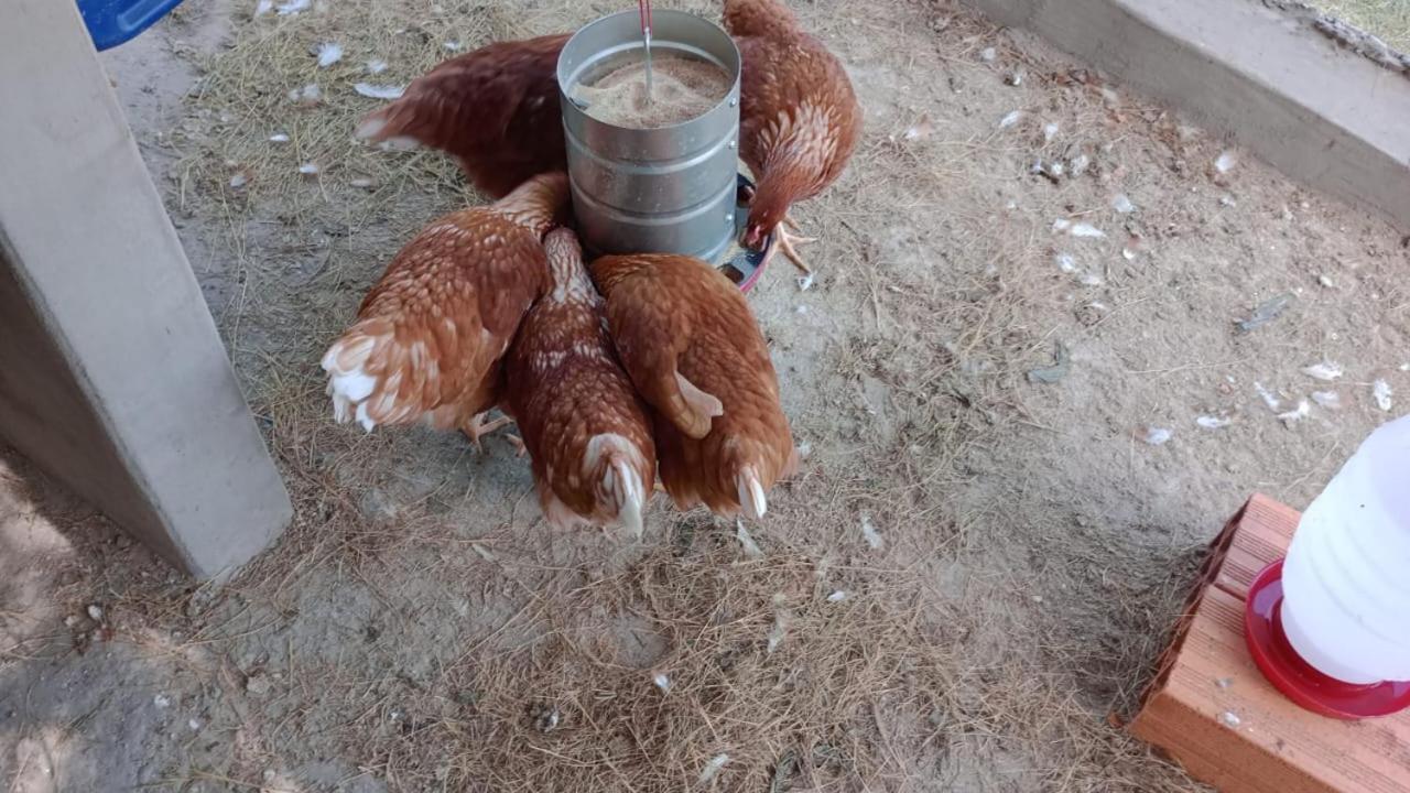 Willa Biju'S Little Farm Ibiúna Zewnętrze zdjęcie